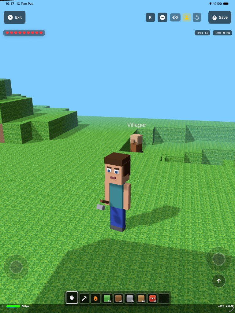 Horse and player in the field